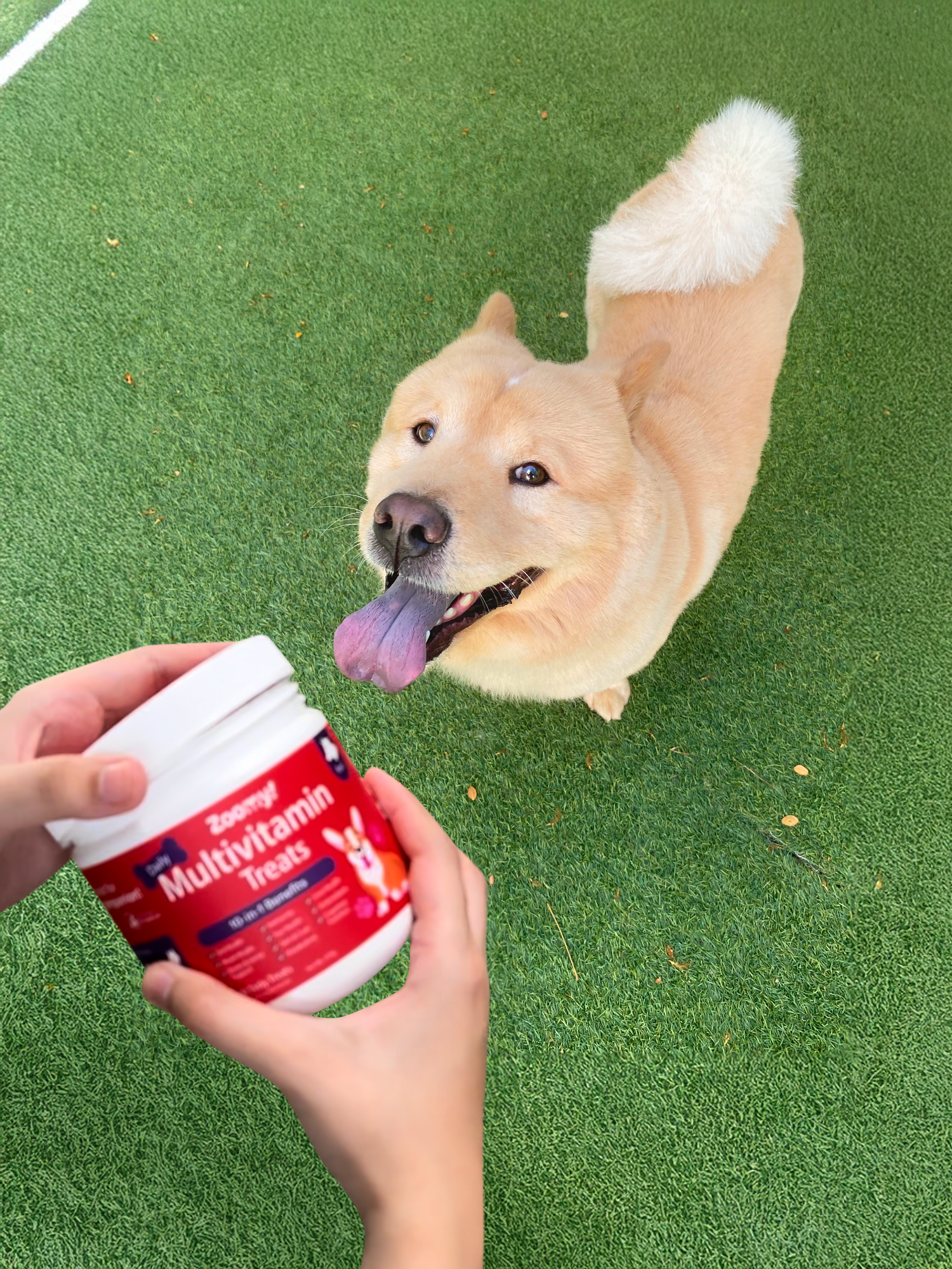 multivitamin treats for big large dogs