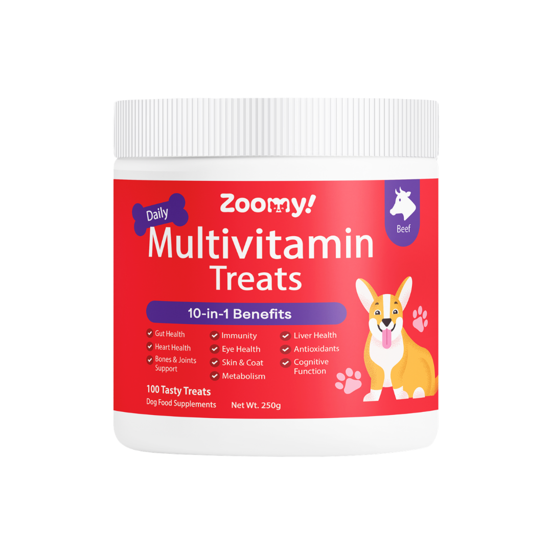 Active 10-in-1 Multivitamin Dog Chew Treats Snack | Omega-3 Probiotics Eye Joint & Coat Health