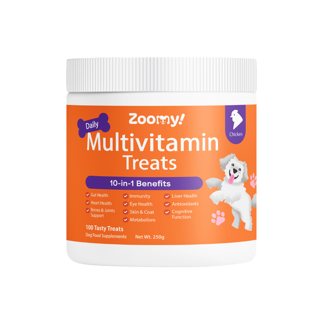 Active 10-in-1 Multivitamin Dog Chew Treats Snack | Omega-3 Probiotics Eye Joint & Coat Health