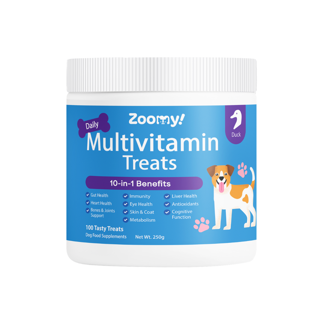 Active 10-in-1 Multivitamin Dog Chew Treats Snack | Omega-3 Probiotics Eye Joint & Coat Health